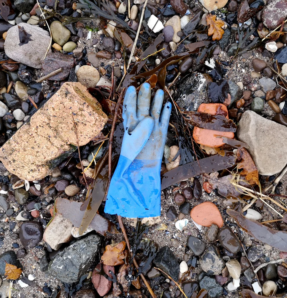 Beachcombing find: 1