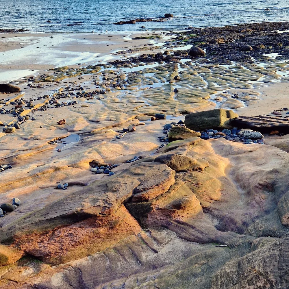 Beachcombing find: 2