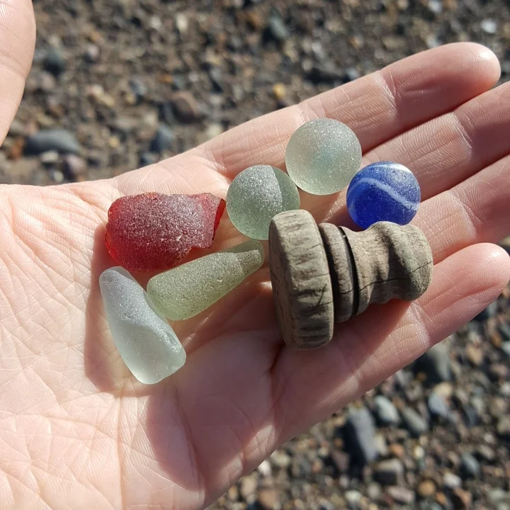 Beachcombing find: IMG 20170406 101030 016