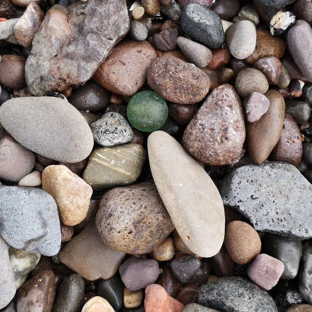 Beachcombing find: IMG 20181121 092753 165