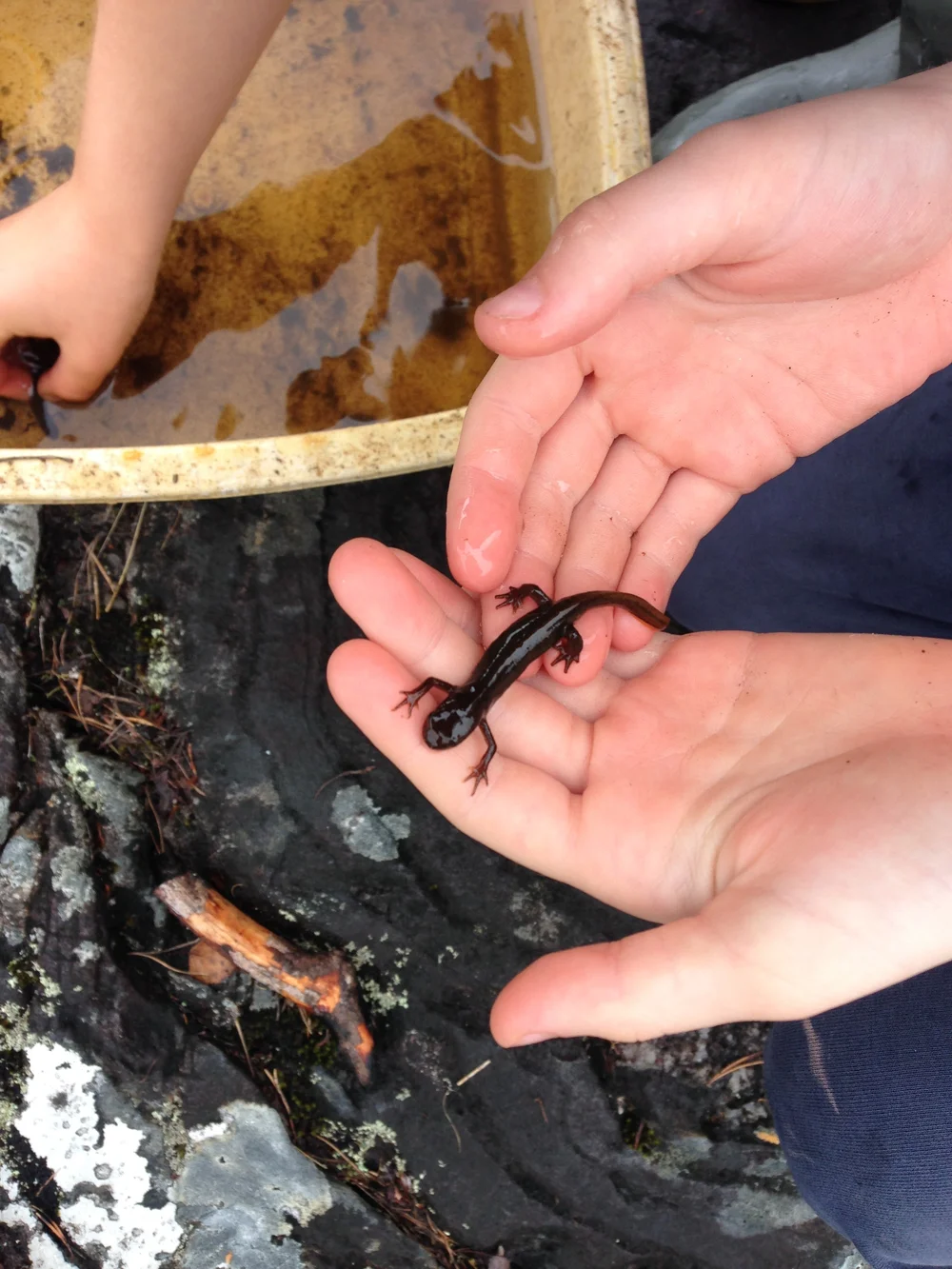 Beachcombing find: 5