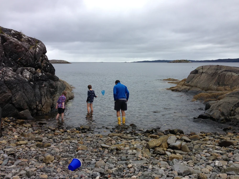 Beachcombing find: 14