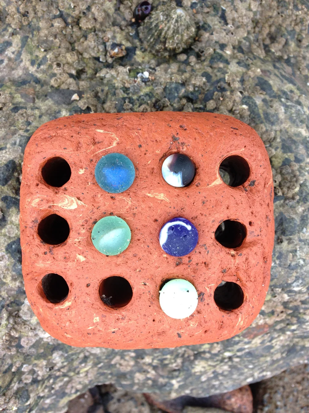 Beachcombing find: IMG 4849