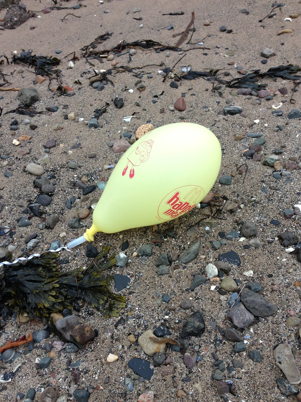Beachcombing find: IMG 4991