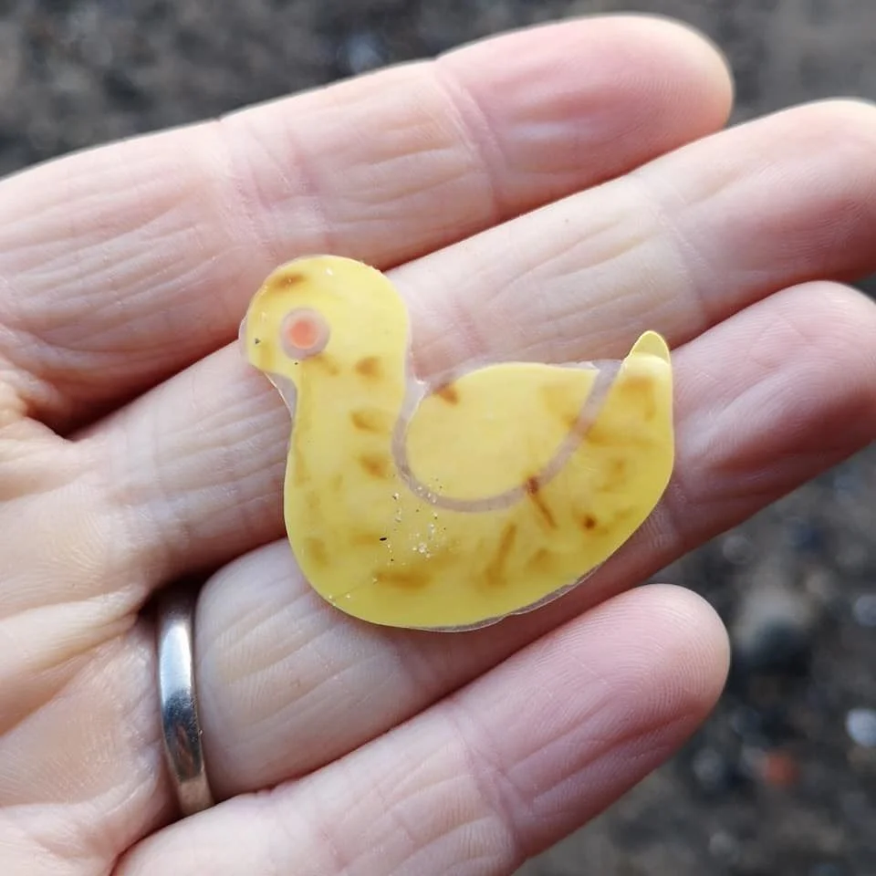 Beachcombing find: 48155473 2254569351229132 2556647761902567424 n