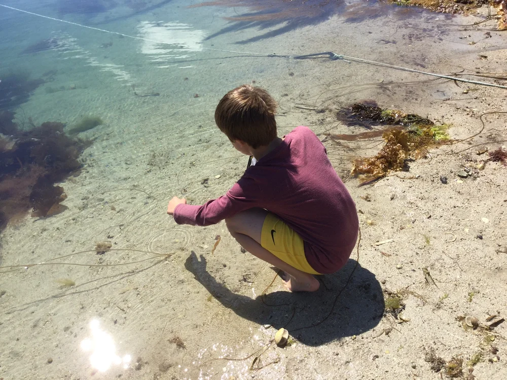 Beachcombing find: IMG 1015