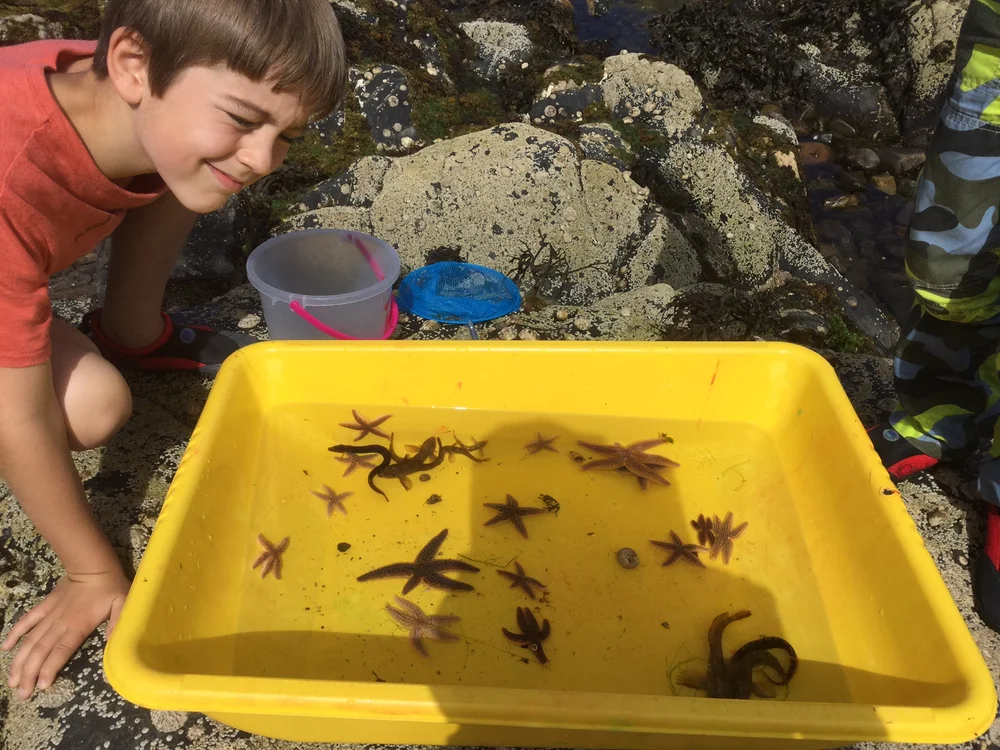 Beachcombing find: IMG 0645