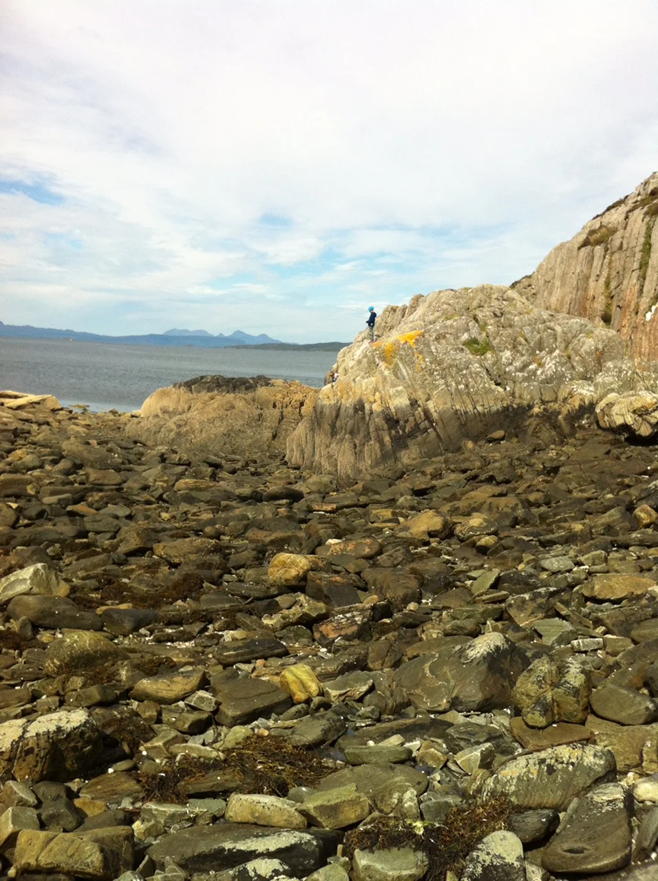 Beachcombing find: 8