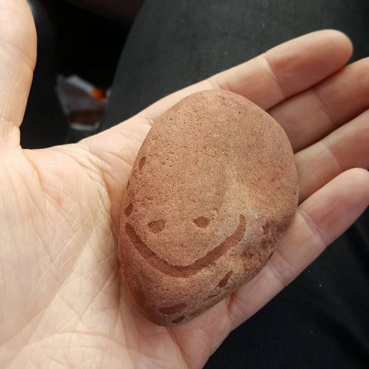 Beachcombing find: IMG 20170403 125237 382