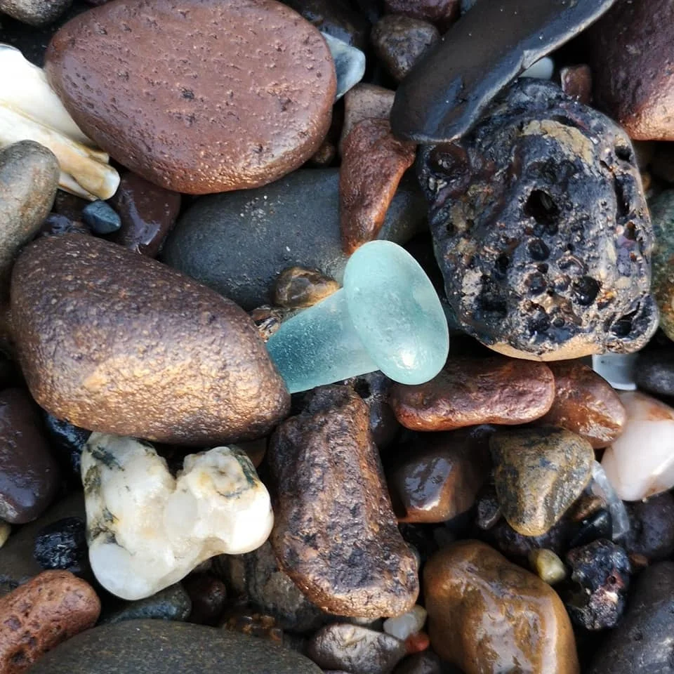 Beachcombing find: 47682752 2254570357895698 2593480061403267072 n