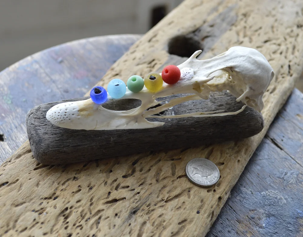 Beachcombing find: 4478 1