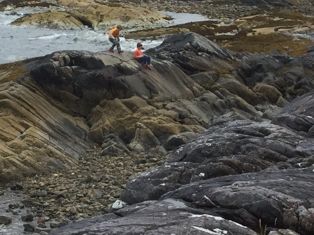 Beachcombing find: IMG 0634