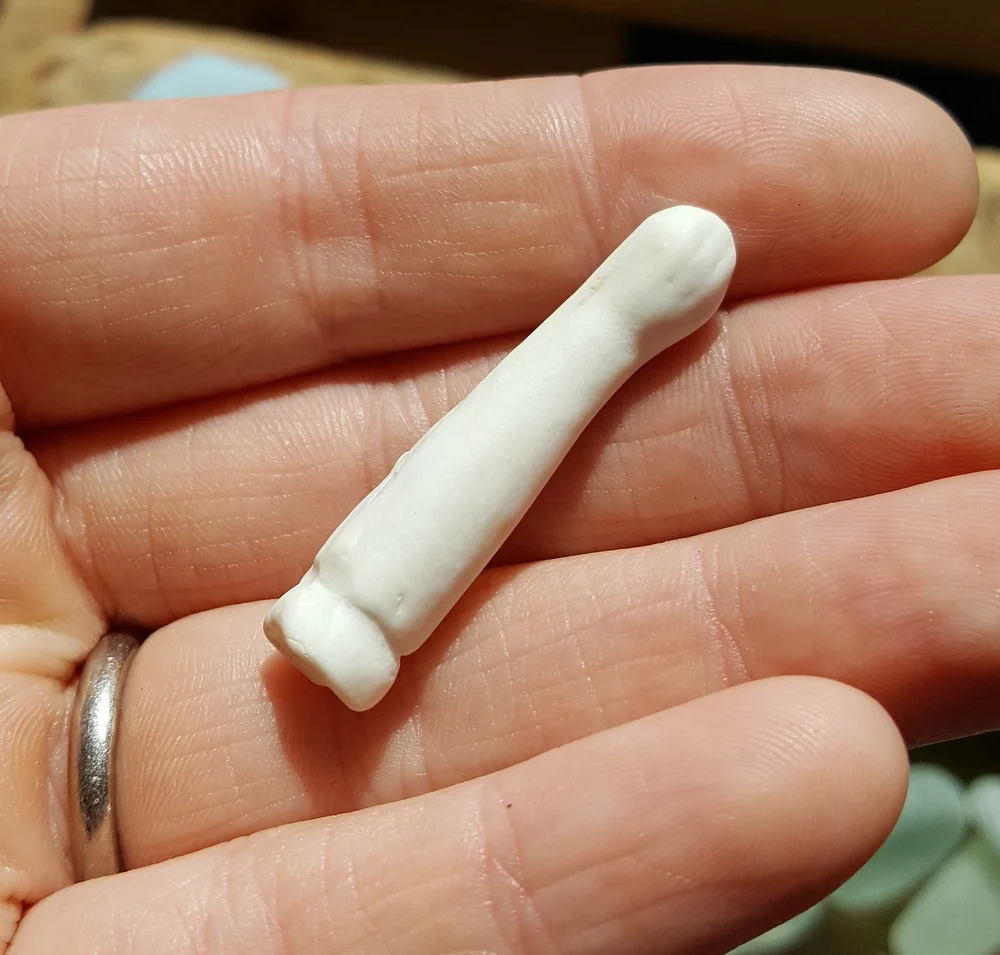 Beachcombing find: 6997 3
