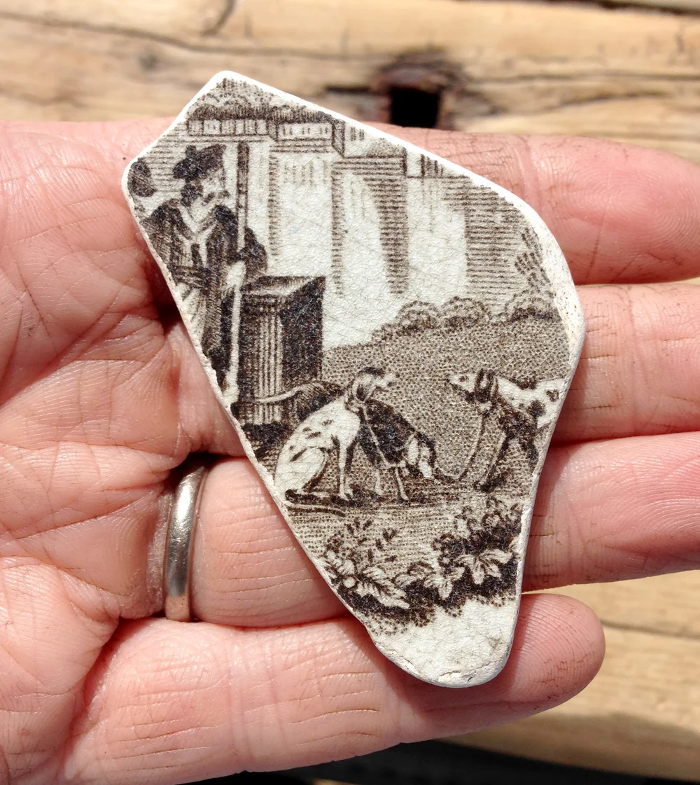 Beachcombing find: 8206 1