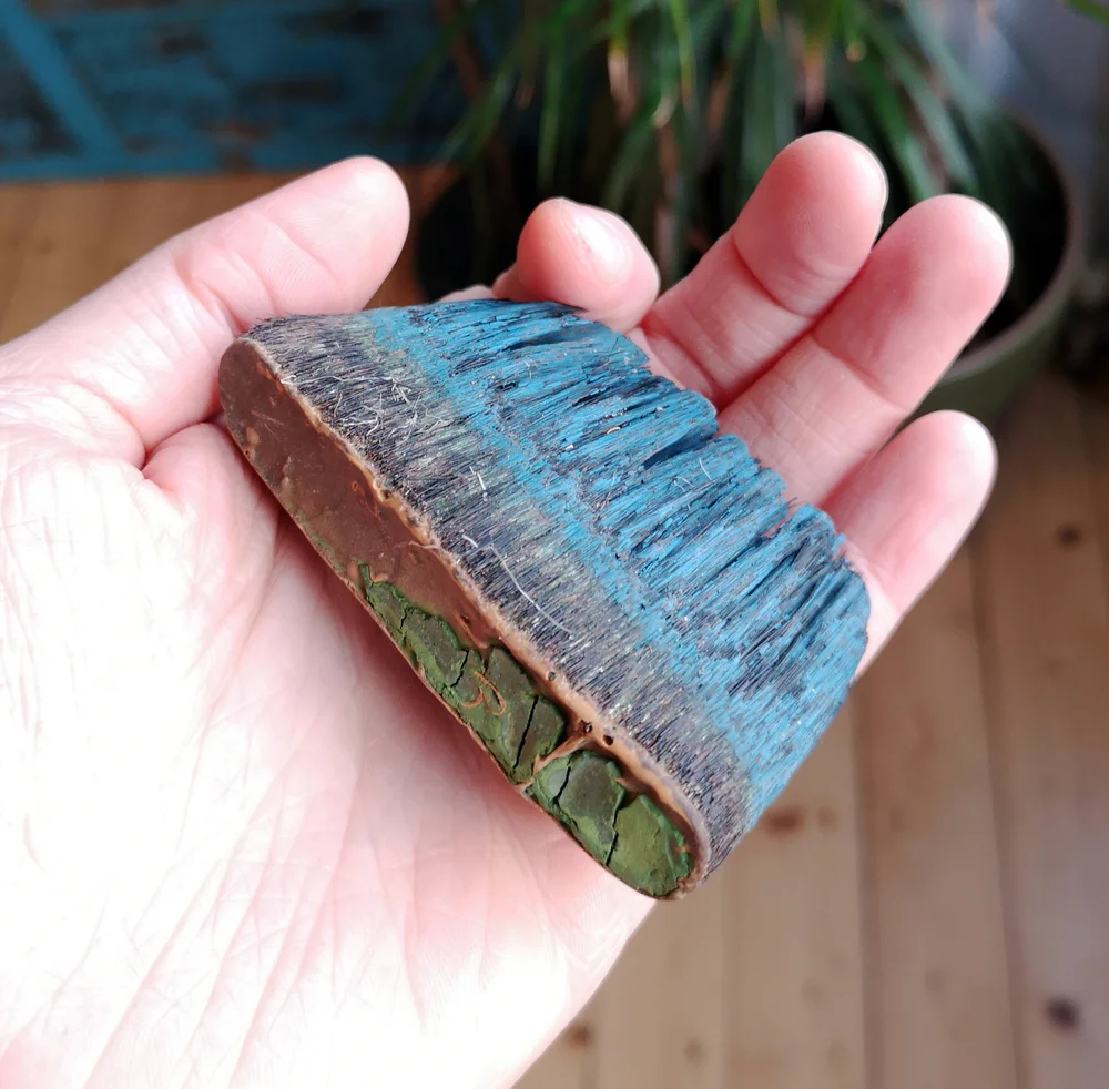 Beachcombing find: 8556 3
