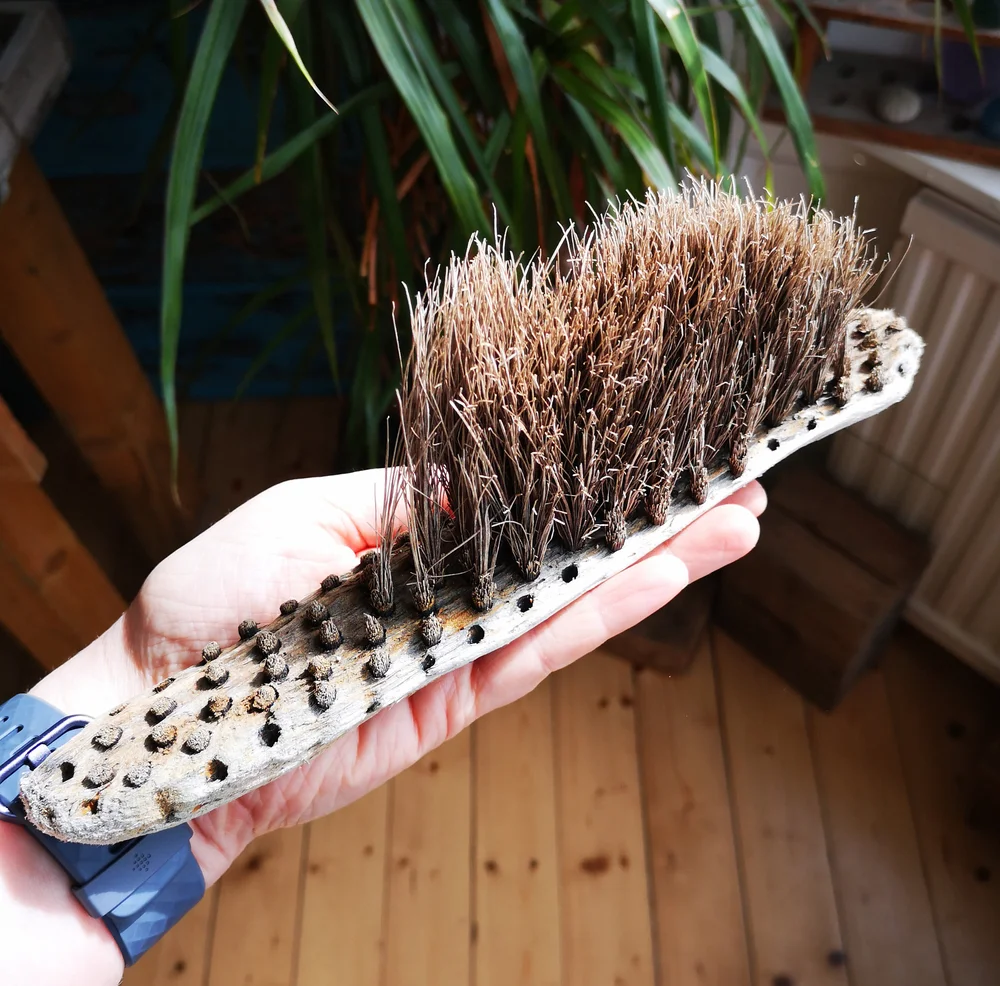 Beachcombing find: 1+