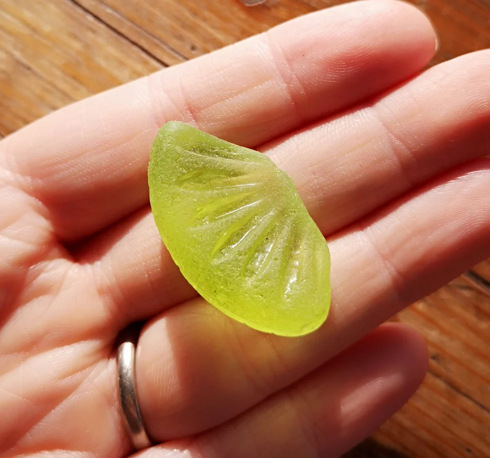 Beachcombing find: 9336 1