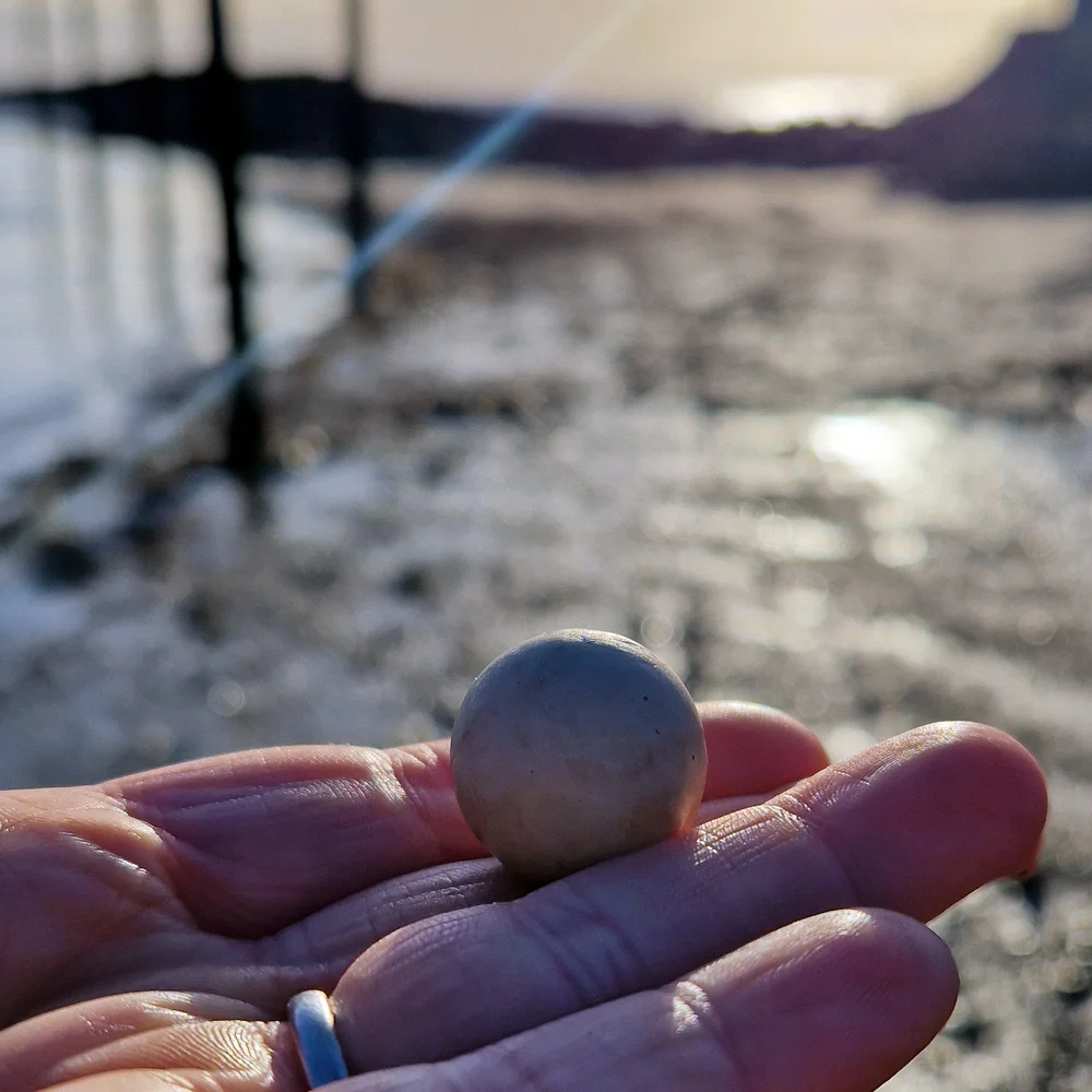 Beachcombing find: 8