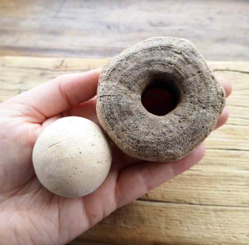 Beachcombing find: download (4)