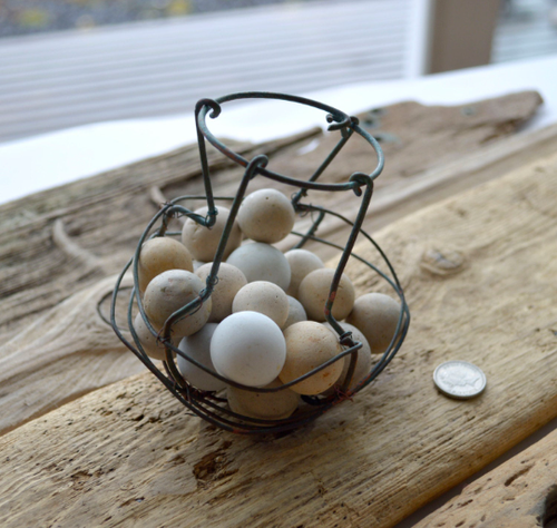 Beachcombing find: download (22)