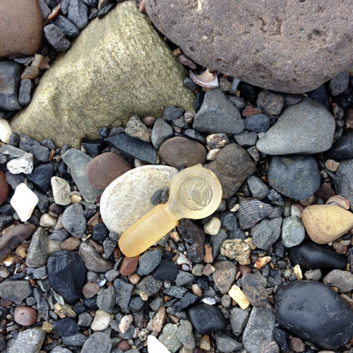 Beachcombing find: Screenshot (94)