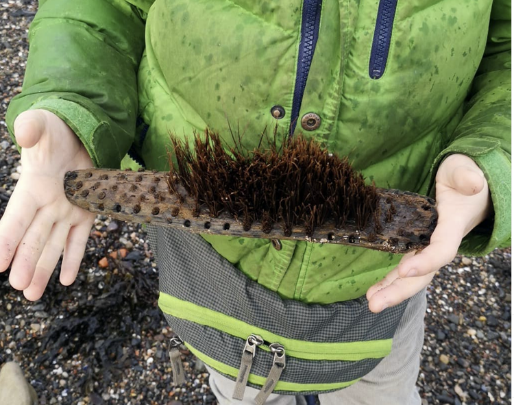 Beachcombing find: Screenshot (93)
