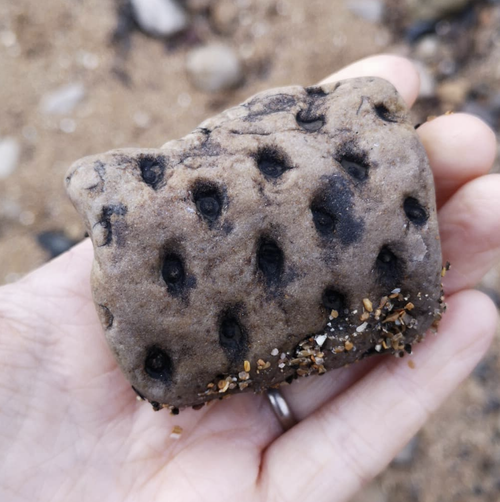 Beachcombing find: Screenshot (88)