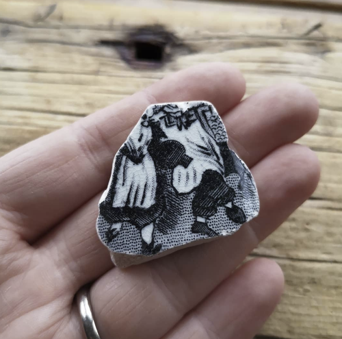 Beachcombing find: Screenshot (45)