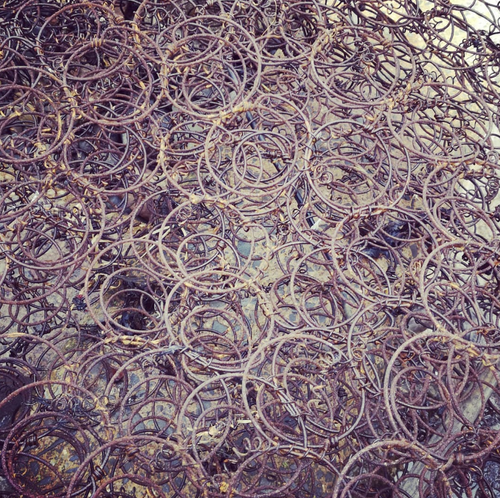 Beachcombing find: Screenshot (44)