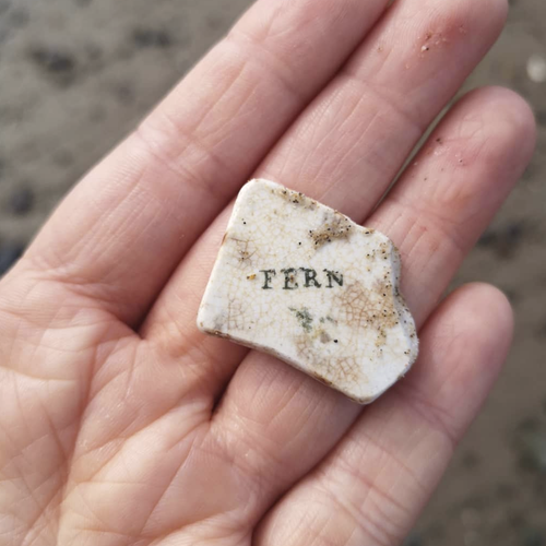 Beachcombing find: Screenshot (28)