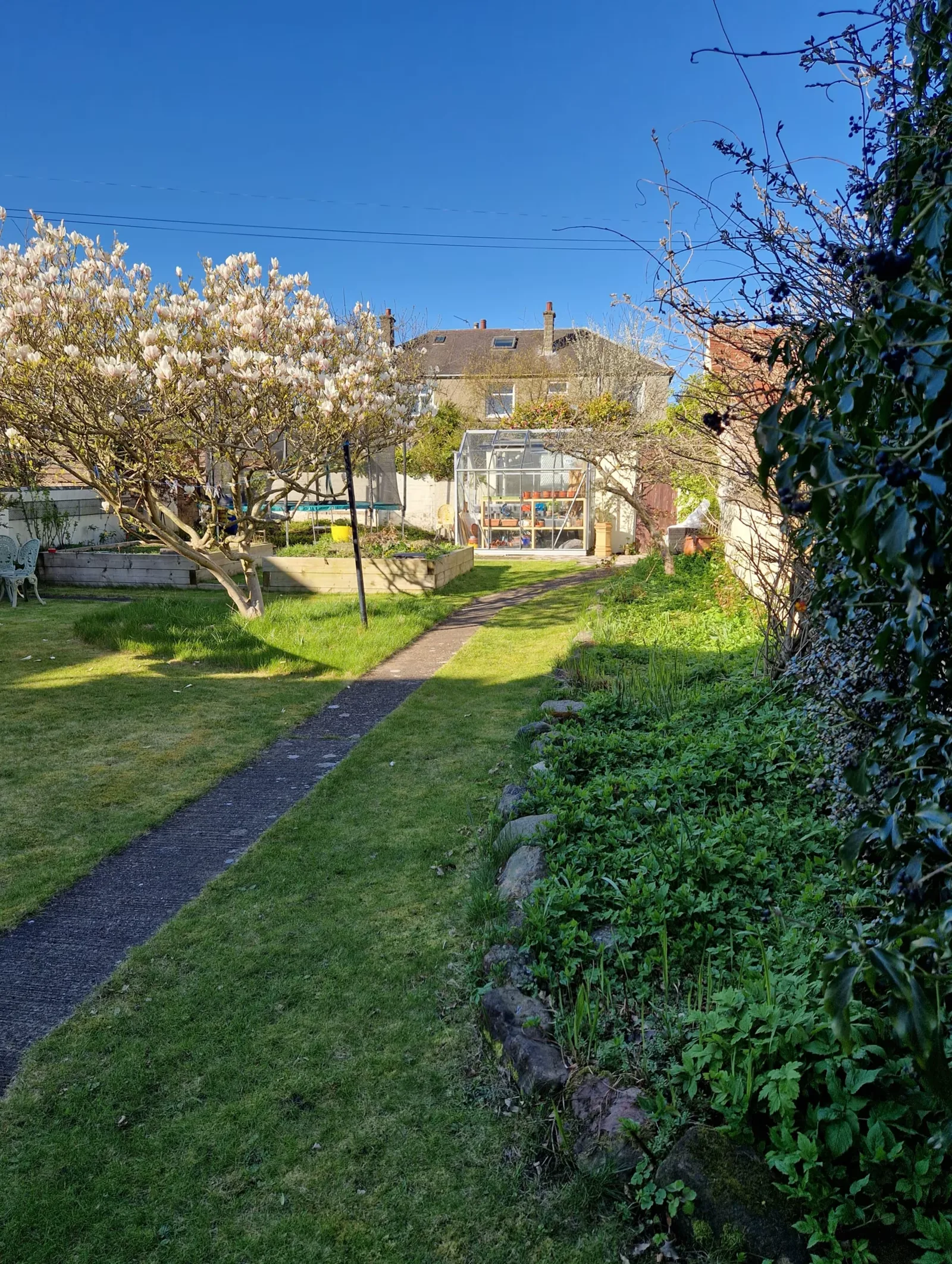 Garden path and greenhouse at Low Tide