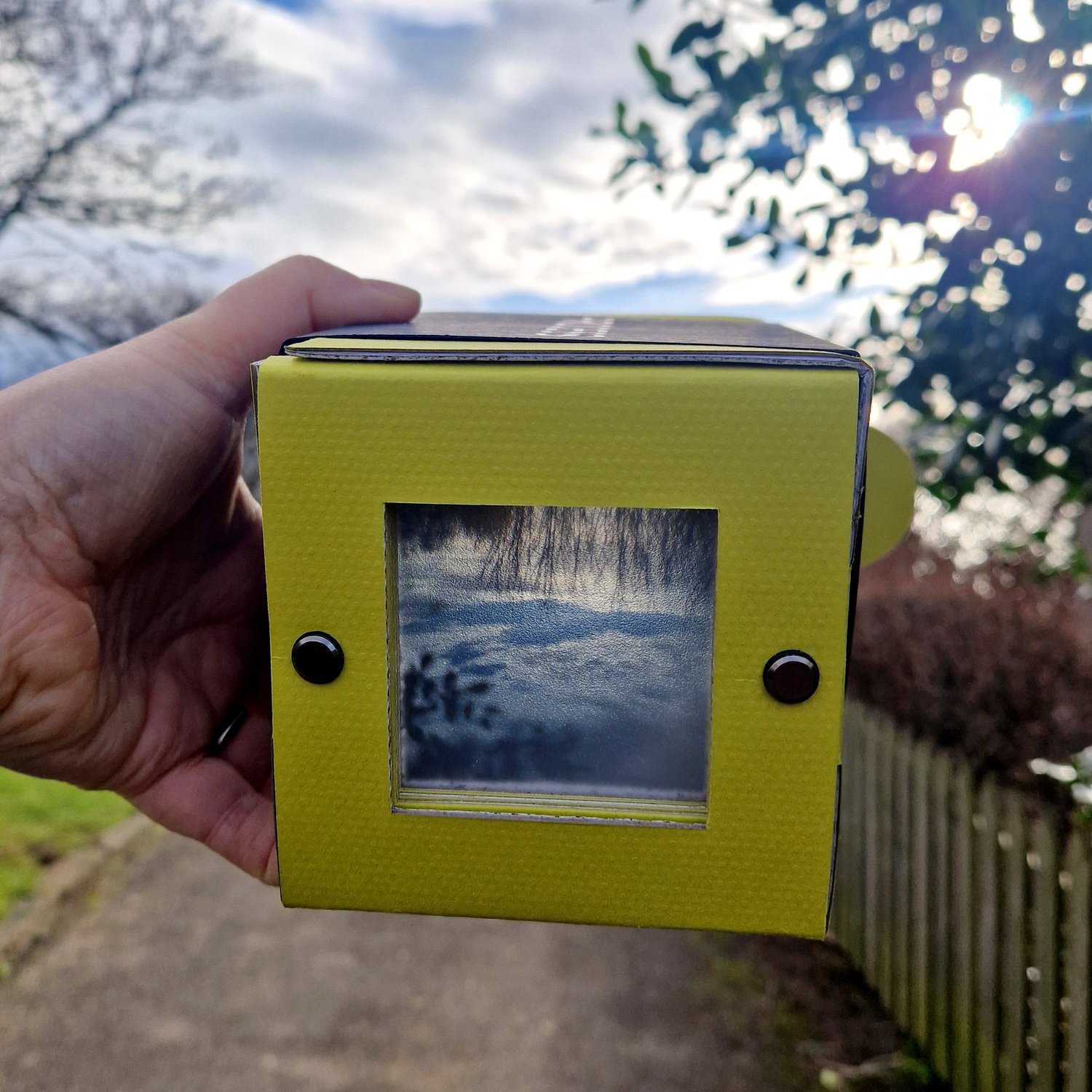 PROCESS working as a camera obscura