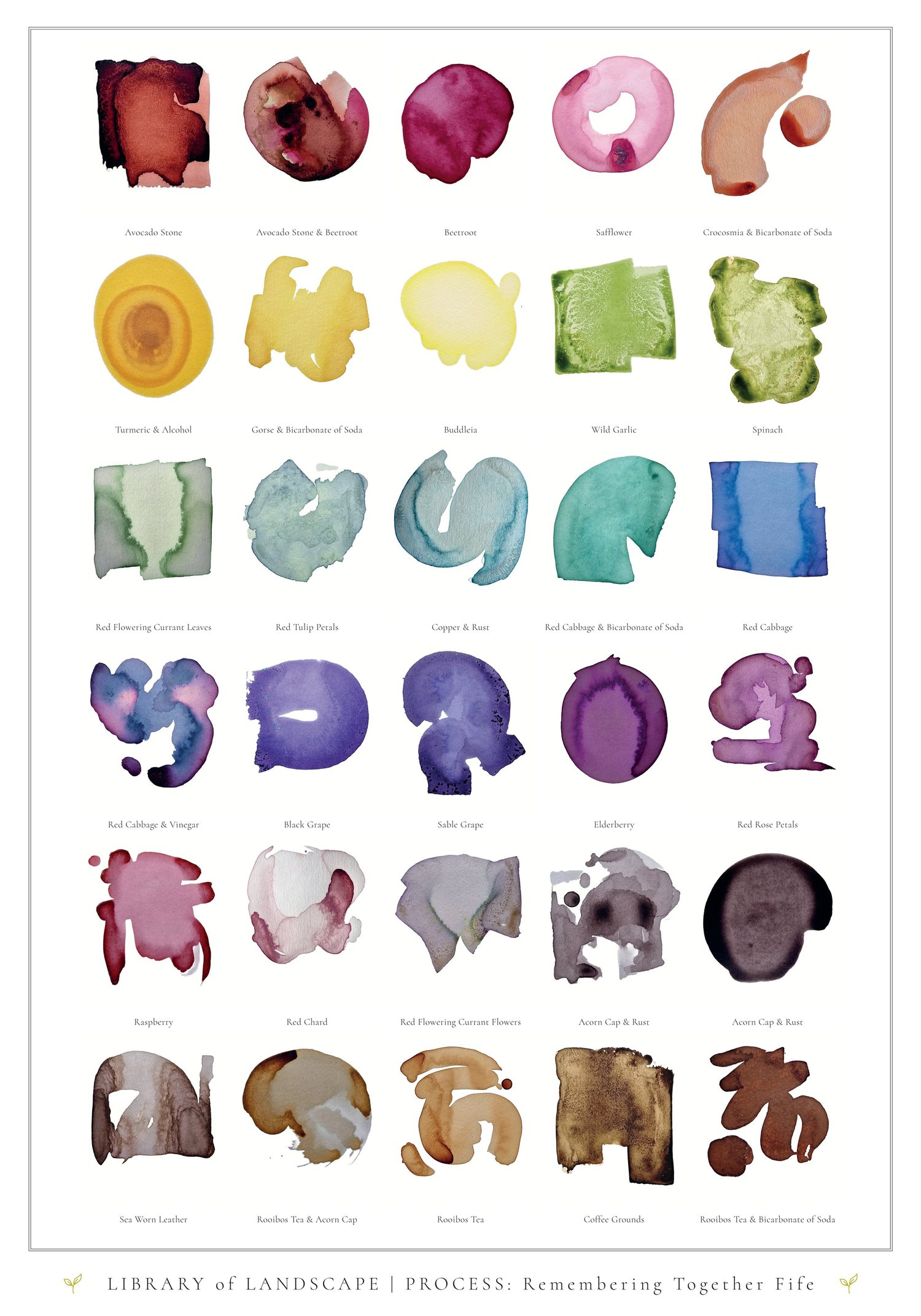 Library of Landscape botanical ink catalogue