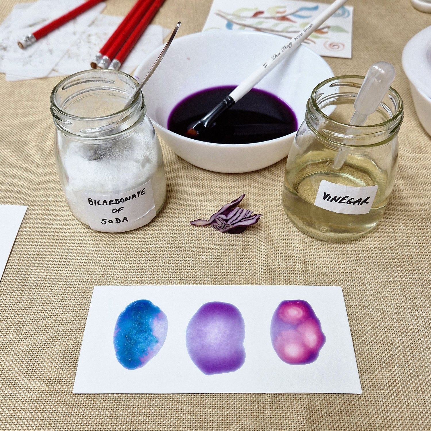 PROCESS community and making image 42