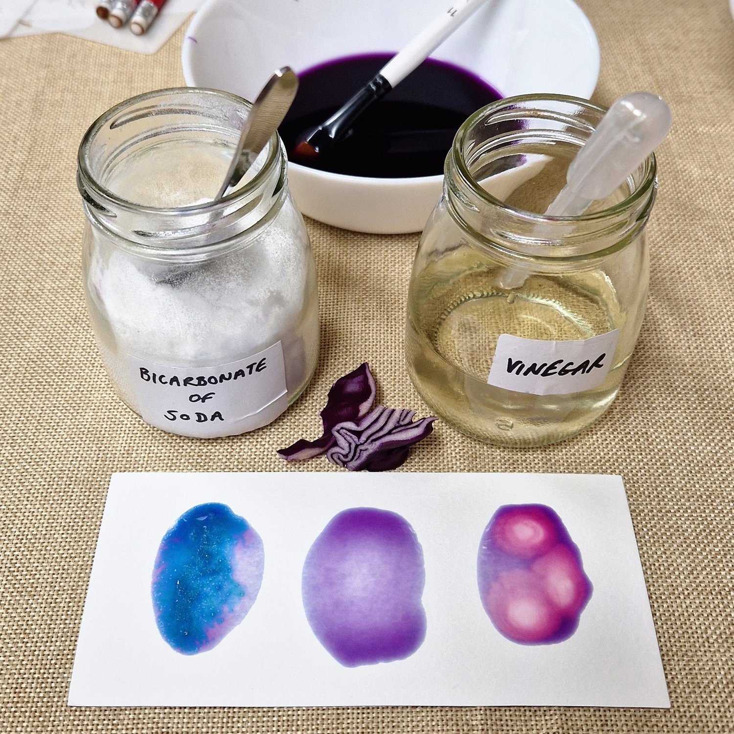 PROCESS community and making image 56