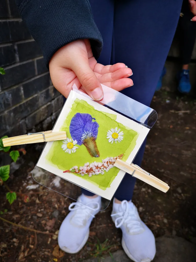Additional Anthotypes project photograph from May 2019