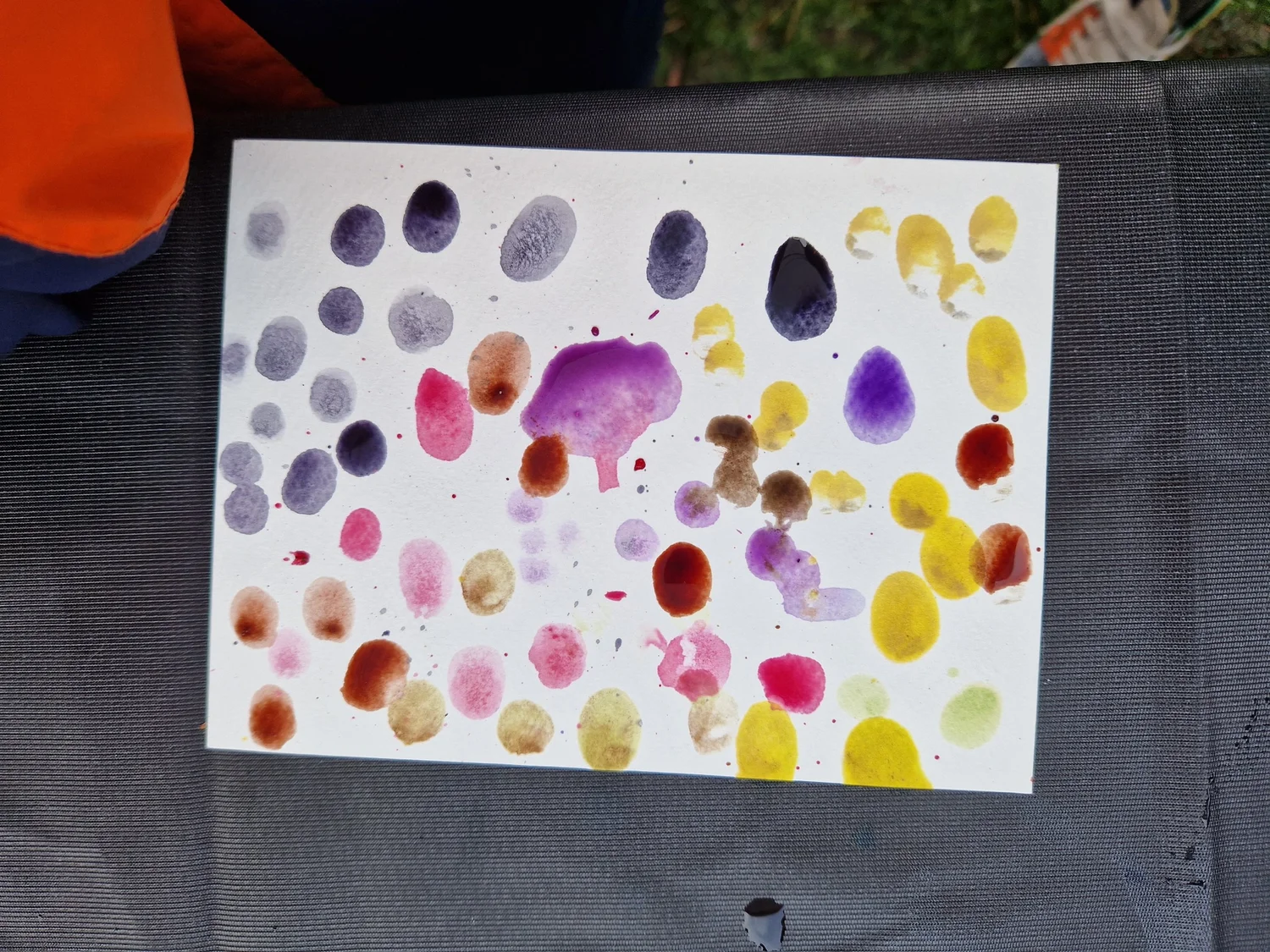 Botanical Inks - project photograph 5