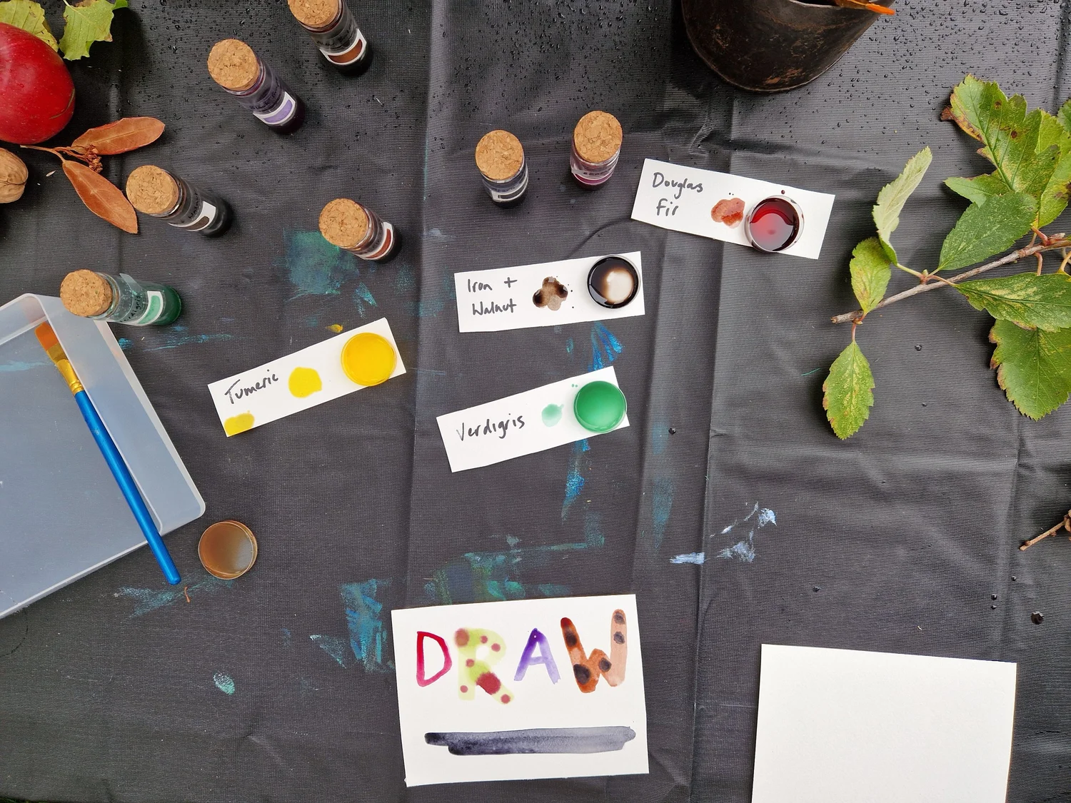 Botanical Inks - project photograph 14