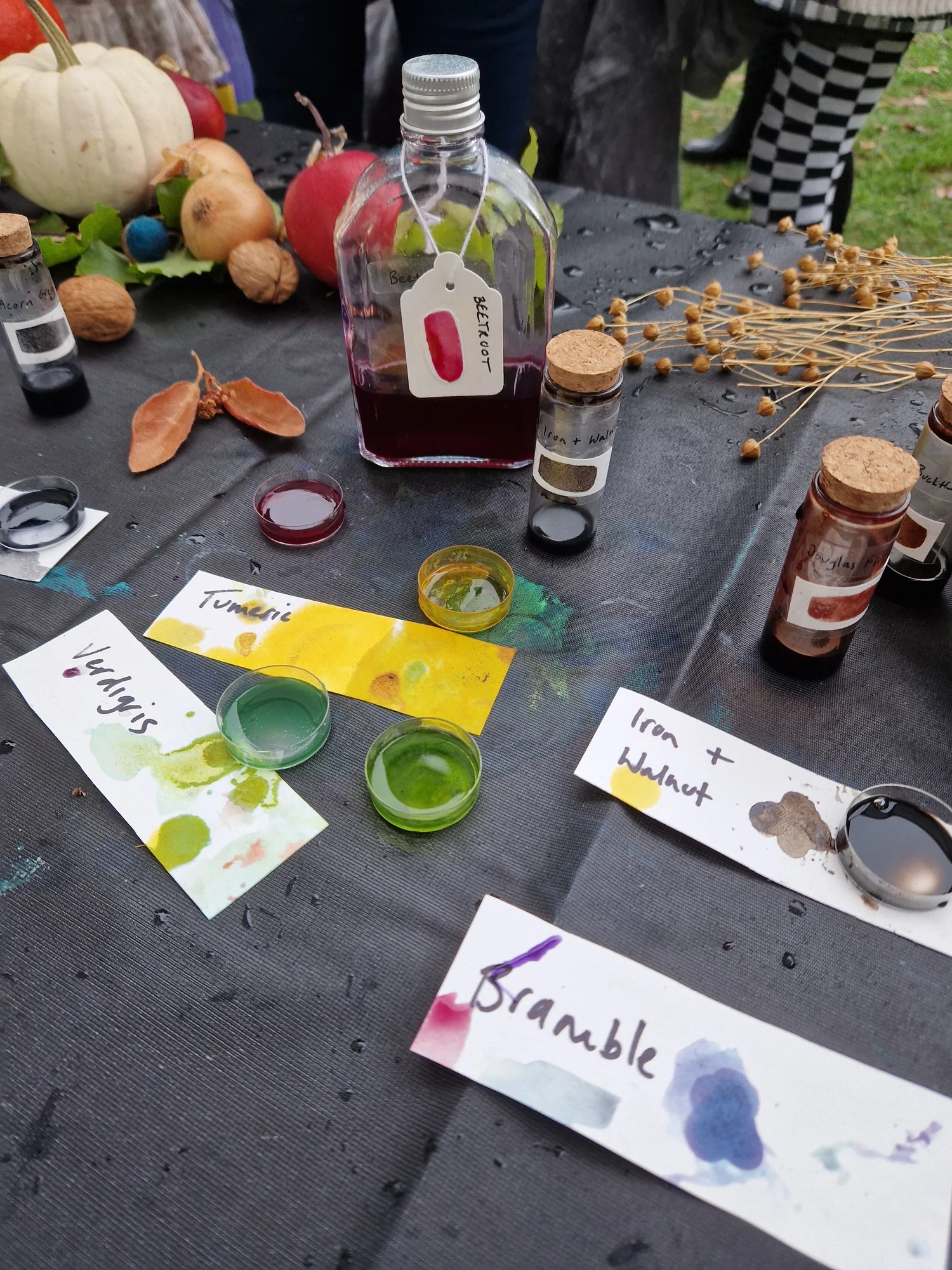 Botanical Inks - project photograph 28