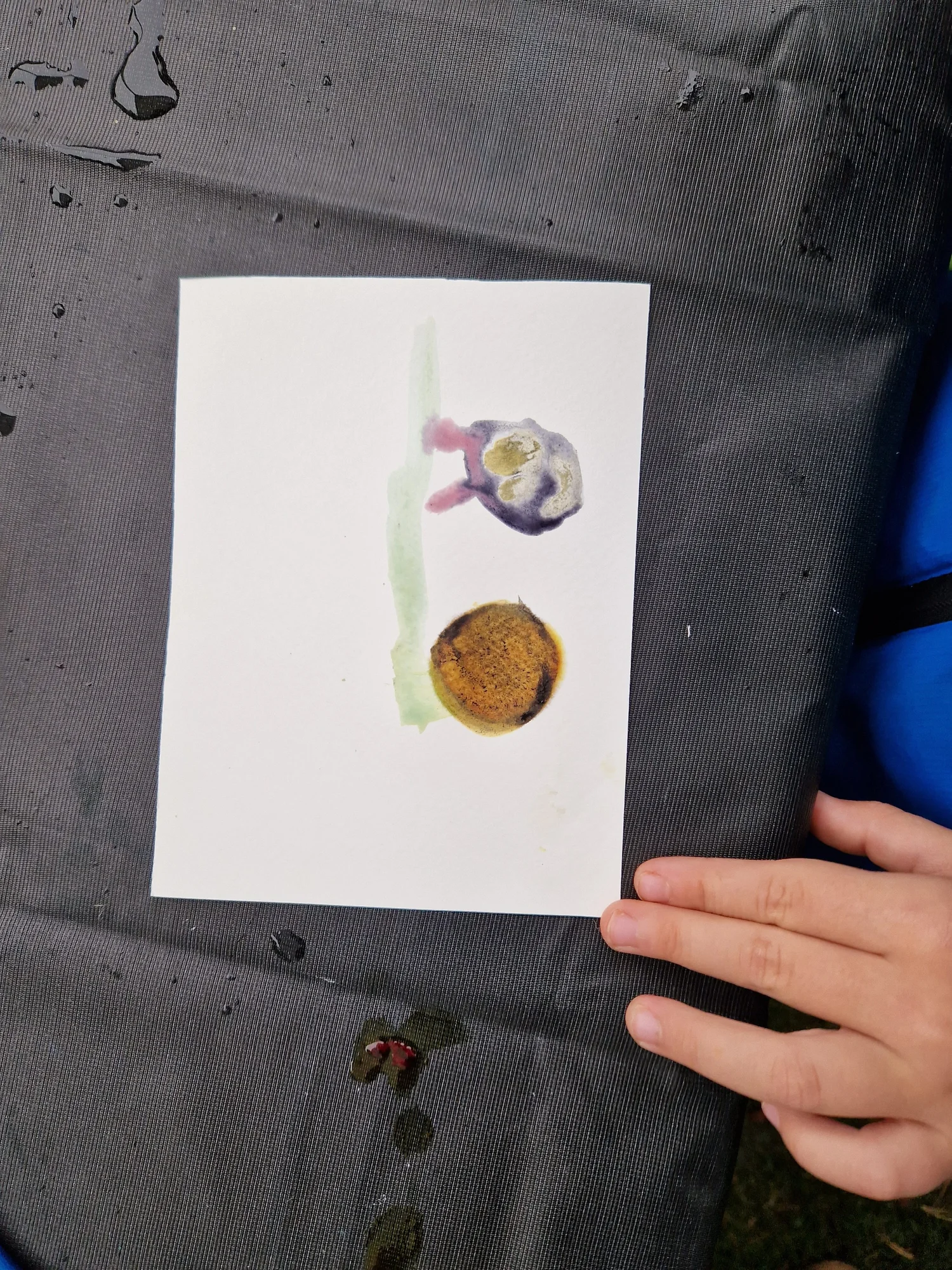 Botanical Inks - project photograph 31
