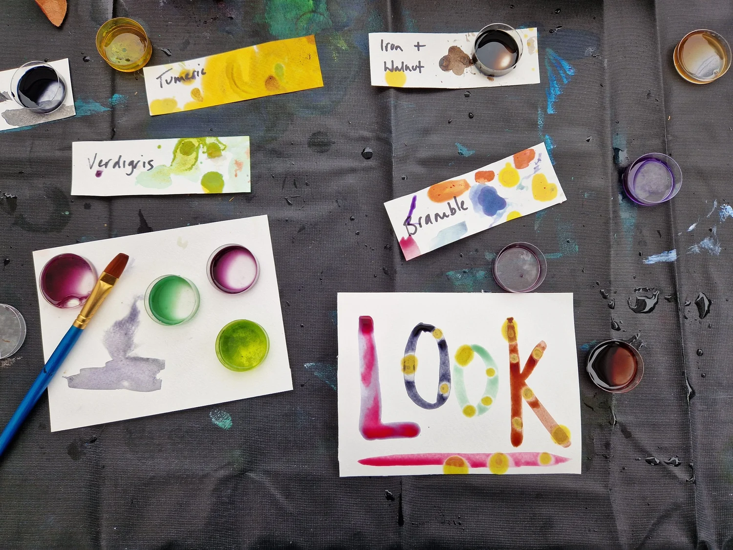 Botanical Inks - project photograph 32