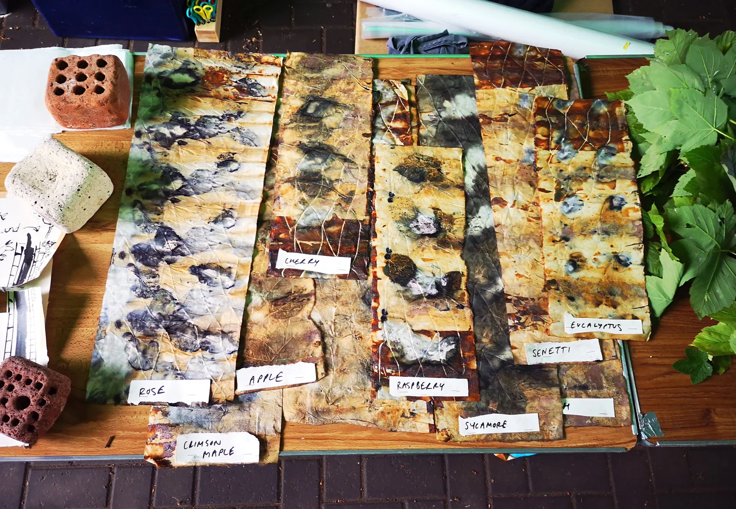 Eco-printing: Riverscapes - project photograph 3