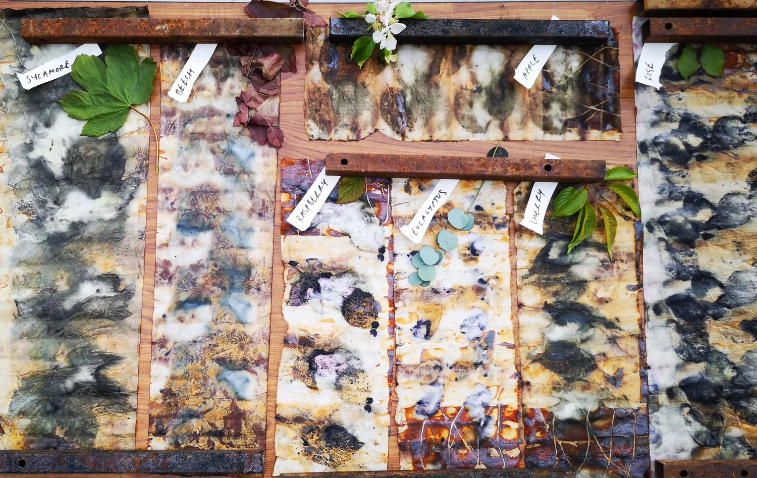 Eco-printing: Riverscapes - project photograph 17
