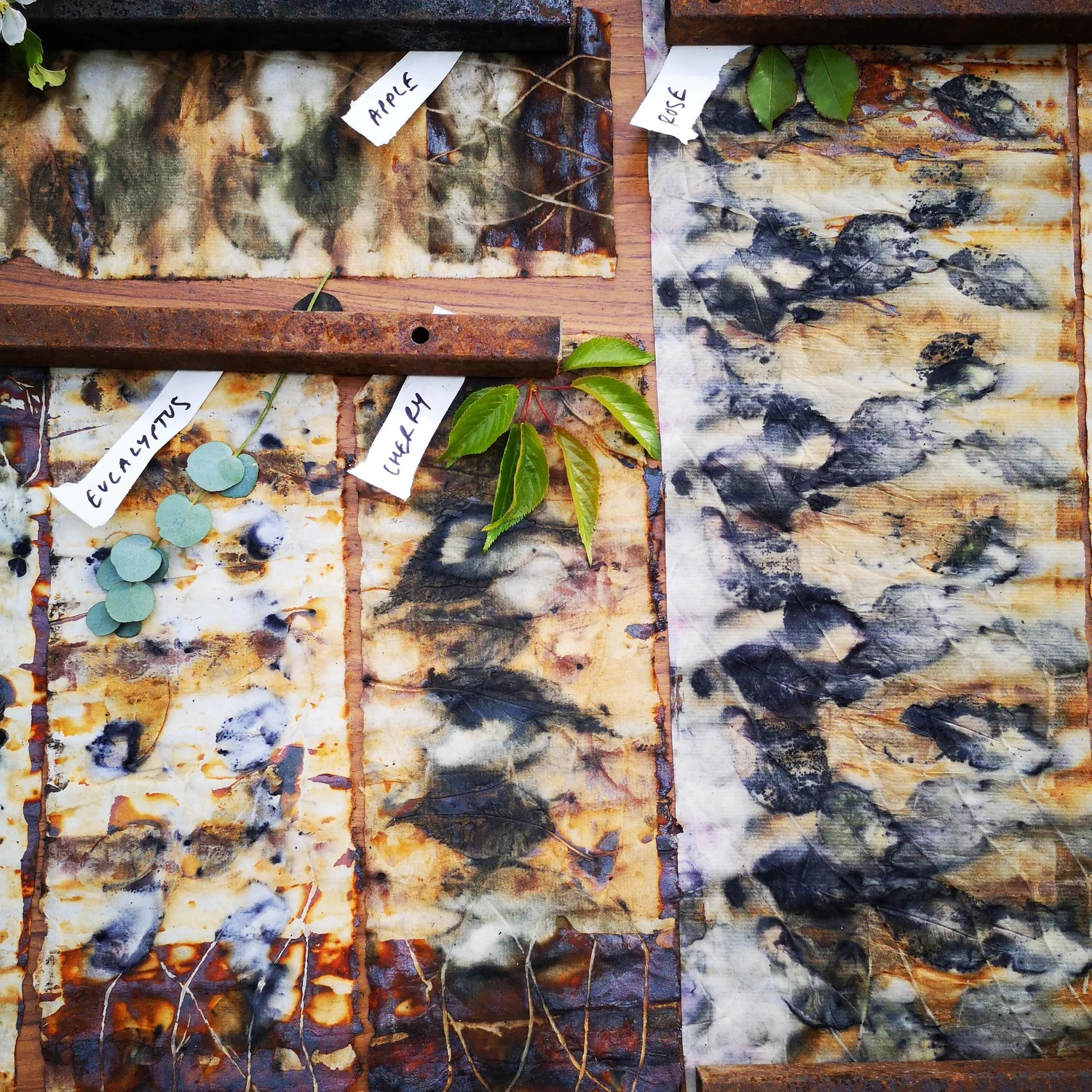 Eco-printing: Riverscapes - project photograph 20
