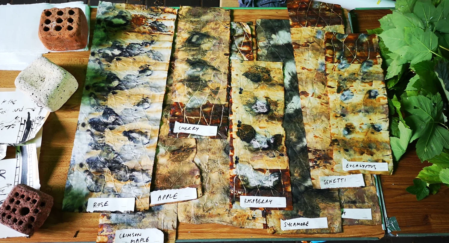 Eco-printing: Riverscapes - project photograph 21