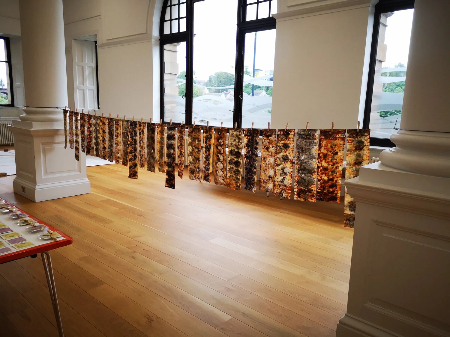 Eco-printing: Riverscapes - project photograph 42