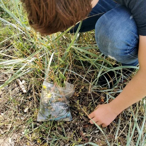 FIX | COP26 - project photograph 81