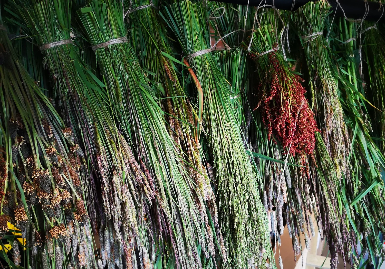 Tidemarks - project photograph 152