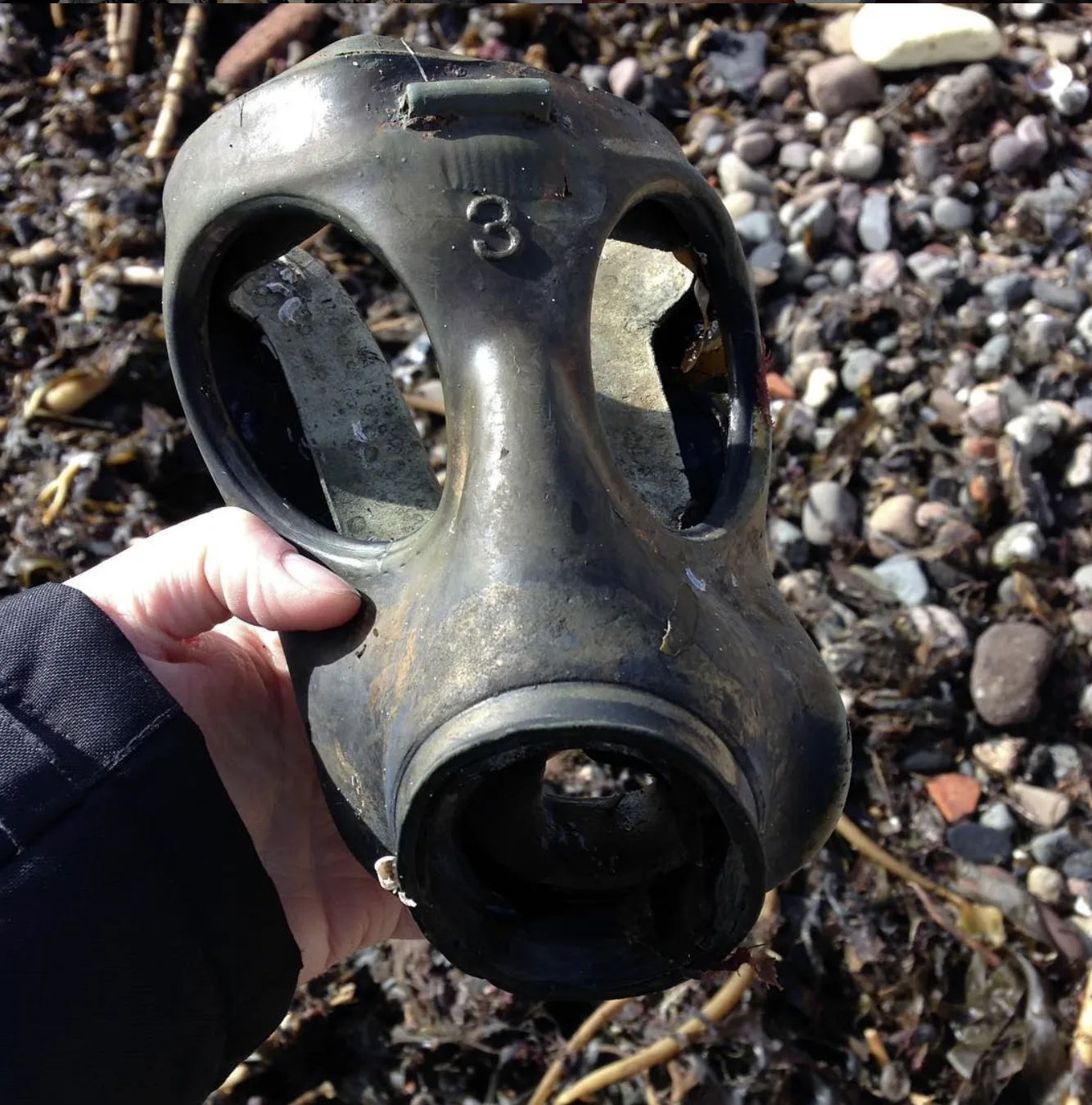Beachcombing finds held in a hand